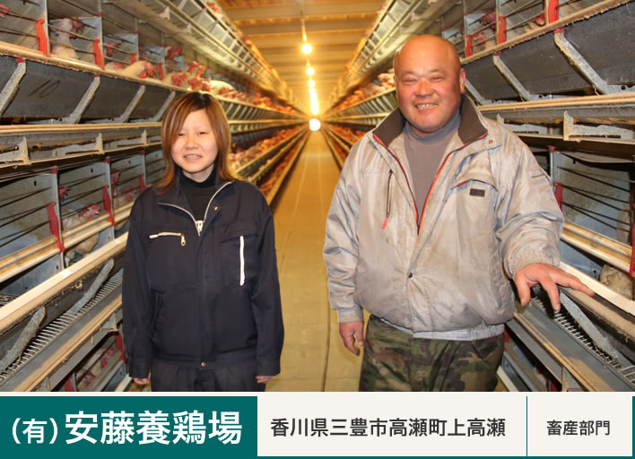 （有）安藤養鶏場　香川県三豊市高瀬町上高瀬　畜産部門